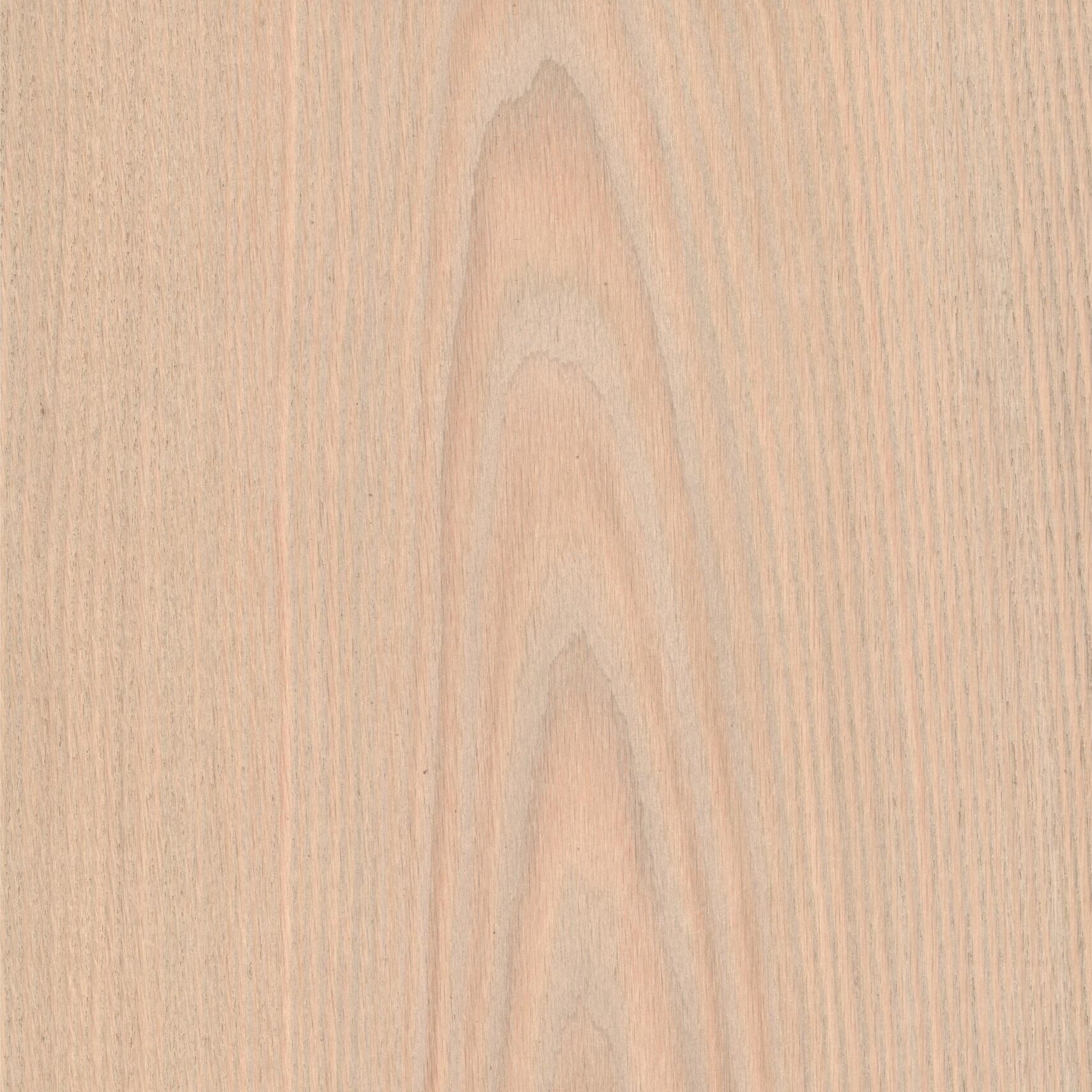 DS102-兰隅